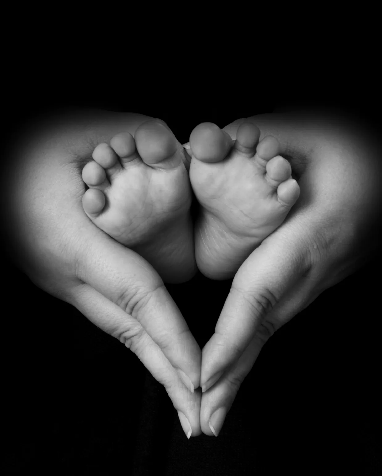 Fertility Blog