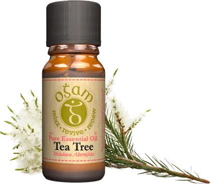 Ogam Tea Tree Pure Essential Oil